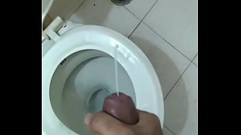 amateur toilet masturbation